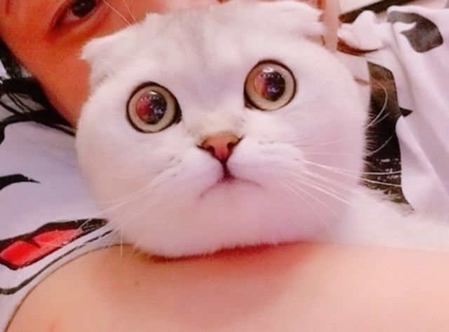 昆明王者！LOL！吃鸡！